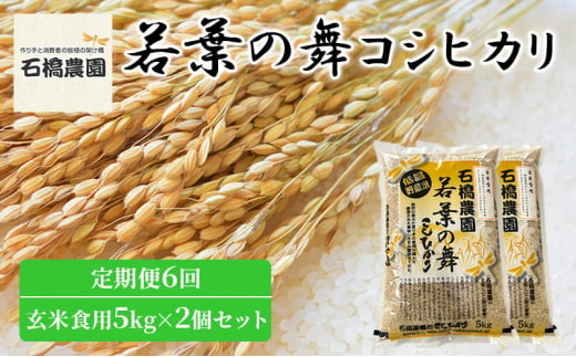 米 若葉の舞 コシヒカリ 玄米食用5Kg×2個セット 定期便6回 こしひかり セット 定期便 お米 玄米 千葉 千葉県 低温保存 [№5346-0861] 1430379 - 千葉県千葉市