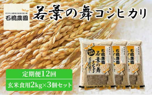 米 若葉の舞 コシヒカリ 玄米食用2Kg×3個セット 定期便12回 こしひかり セット 定期便 お米 玄米 千葉 千葉県 低温保存 [№5346-0886] 1430404 - 千葉県千葉市