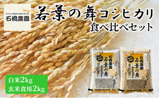 米 若葉の舞 コシヒカリ 白米2Kg玄米食用2Kg 食べ比べセット こしひかり お米 白米 玄米 セット 食べ比べ 精米 千葉 千葉県 低温保存 [№5346-0788] 1430307 - 千葉県千葉市