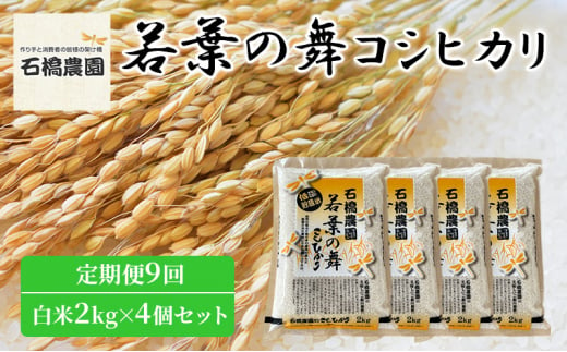 米 若葉の舞 コシヒカリ 白米2Kg×4個セット 定期便9回 こしひかり セット 定期便 お米 白米 精米 千葉 千葉県 低温保存 [№5346-0873] 1430391 - 千葉県千葉市