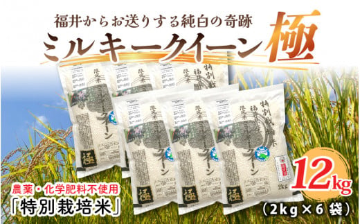 【先行予約】【令和6年産・新米】お米の女王！農薬・化学肥料不使用 特別栽培米 ミルキークイーン極12kg (2kg × 6袋)（白米）【2024年10月中旬以降順次発送予定】 [D-2917_01]