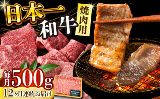 【全12回定期便】【A4～A5】長崎和牛焼肉用　500g【株式会社 MEAT PLUS】 [DBS036] 1429830 - 長崎県小値賀町