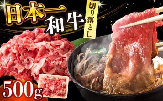 【A4～A5】長崎和牛切り落とし　500g【株式会社 MEAT PLUS】 [DBS005] 1429823 - 長崎県小値賀町