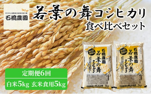 米 若葉の舞 コシヒカリ 白米5Kg玄米食用5Kg 食べ比べセット 定期便6回 こしひかり お米 白米 玄米 セット 食べ比べ 定期便 精米 千葉 千葉県 低温保存 [№5346-0805] 1430323 - 千葉県千葉市