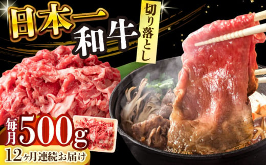 【全12回定期便】【A4～A5】長崎和牛切り落とし　500g【株式会社 MEAT PLUS】 [DBS052] 1429846 - 長崎県小値賀町