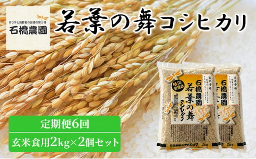 米 若葉の舞 コシヒカリ 玄米食用2Kg×2個セット 定期便6回 こしひかり セット 定期便 お米 玄米 千葉 千葉県 低温保存 [№5346-0864] 1430382 - 千葉県千葉市