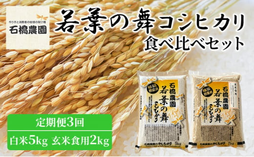 米 若葉の舞 コシヒカリ 白米5Kg玄米食用2Kg 食べ比べセット 定期便3回 こしひかり お米 白米 玄米 セット 食べ比べ 定期便 精米 千葉 千葉県 低温保存 [№5346-0797] 1430315 - 千葉県千葉市