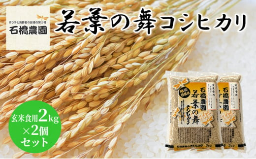 米 若葉の舞 コシヒカリ 玄米食用2Kg×2個セット こしひかり セット お米 玄米 千葉 千葉県 低温保存 [№5346-0836] 1430354 - 千葉県千葉市