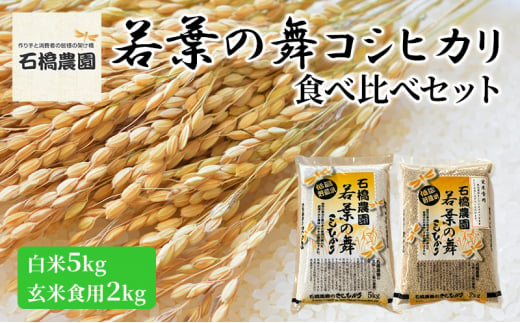 米 若葉の舞 コシヒカリ 白米5Kg玄米食用2Kg 食べ比べセット こしひかり お米 白米 玄米 セット 食べ比べ 精米 千葉 千葉県 低温保存 [№5346-0787] 1430306 - 千葉県千葉市