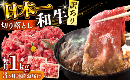 【全3回定期便】【訳あり】【A4～A5】長崎和牛焼肉切り落とし(肩ロース・バラ）　1kg（500g×2p）【株式会社 MEAT PLUS】 [DBS046] 1429840 - 長崎県小値賀町