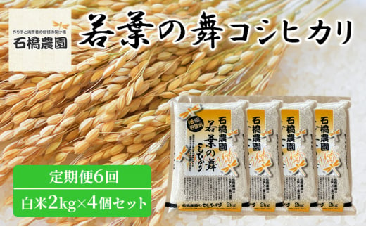 米 若葉の舞 コシヒカリ 白米2Kg×4個セット 定期便6回 こしひかり セット 定期便 お米 白米 精米 千葉 千葉県 低温保存 [№5346-0859] 1430377 - 千葉県千葉市