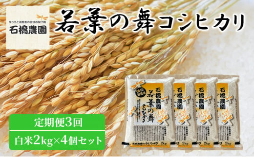 米 若葉の舞 コシヒカリ 白米2Kg×4個セット 定期便3回 こしひかり セット 定期便 お米 白米 精米 千葉 千葉県 低温保存 [№5346-0845] 1430363 - 千葉県千葉市