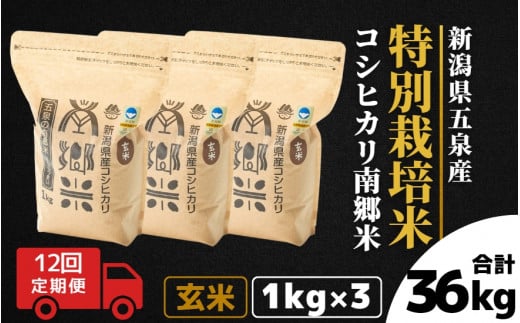 【令和6年産新米先行予約】 〈12回定期便〉 特別栽培米コシヒカリ 「南郷米」 玄米3kg（1kg×3袋）新潟県 五泉市 有限会社ファームみなみの郷  ［2024年9月中旬以降順次発送］ 1430688 - 新潟県五泉市