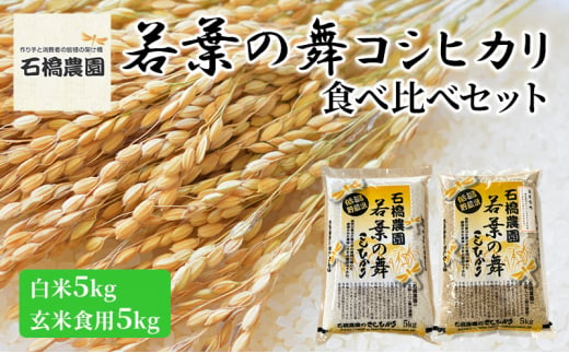 米 若葉の舞 コシヒカリ 白米5Kg玄米食用5Kg 食べ比べセット こしひかり お米 白米 玄米 セット 食べ比べ 精米 千葉 千葉県 低温保存 [№5346-0786] 1430305 - 千葉県千葉市