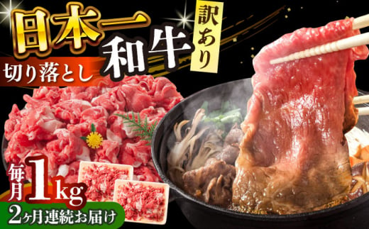 【全2回定期便】【訳あり】【A4～A5】長崎和牛焼肉切り落とし(肩ロース・バラ）　1kg（500g×2p）【株式会社 MEAT PLUS】 [DBS045] 1429839 - 長崎県小値賀町