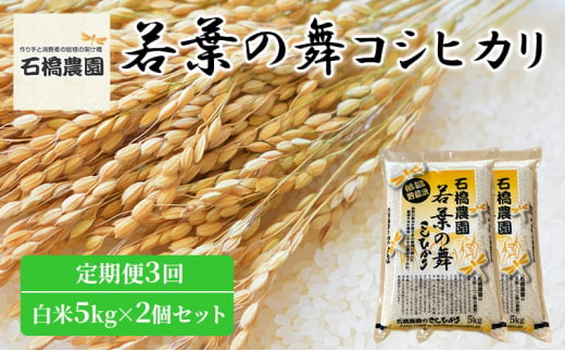 米 若葉の舞 コシヒカリ 白米5Kg×2個セット 定期便3回 こしひかり セット 定期便 お米 白米 精米 千葉 千葉県 低温保存 [№5346-0840] 1430358 - 千葉県千葉市