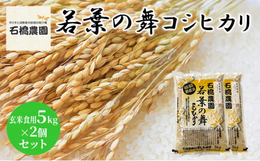 米 若葉の舞 コシヒカリ 玄米食用5Kg×2個セット こしひかり セット お米 玄米 千葉 千葉県 低温保存 [№5346-0833] 1430351 - 千葉県千葉市