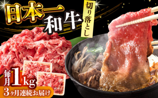 【全3回定期便】【A4～A5】長崎和牛切り落とし　1kg(500g×2p）【株式会社 MEAT PLUS】 [DBS054] 1429848 - 長崎県小値賀町