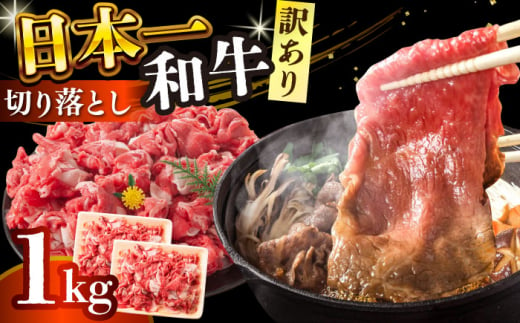 【訳あり】【A4～A5】長崎和牛焼肉切り落とし(肩ロース・バラ）　1kg（500g×2p）【株式会社 MEAT PLUS】 [DBS004] 1429822 - 長崎県小値賀町