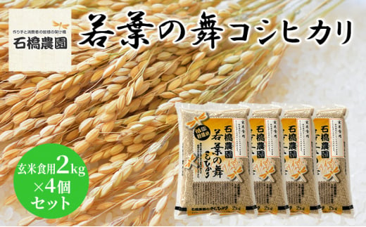 米 若葉の舞 コシヒカリ 玄米食用2Kg×4個セット こしひかり セット お米 玄米 千葉 千葉県 低温保存 [№5346-0838] 1430356 - 千葉県千葉市