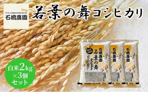 米 若葉の舞 コシヒカリ 白米2Kg×3個セット こしひかり セット お米 白米 精米 千葉 千葉県 低温保存 [№5346-0830] 1430348 - 千葉県千葉市