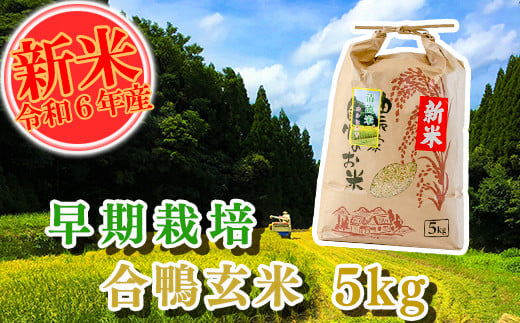 熊本県南関町のふるさと納税 【令和6年産】合鴨農法による早期栽培 玄米 5kg