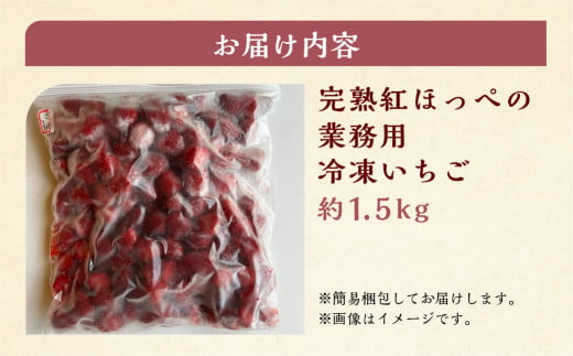 岐阜県本巣市のふるさと納税  《 業務用 》 加工向きな 冷凍いちご 紅ほっぺ 1.5kg 簡易梱包 サイズ 不揃い のため 訳あり 訳アリ フルーツ 果物 苺 いちご イチゴ アイス ヨーグルト シャーベット 苺 family農園 子ども 家庭用 業務 加工向け 国産 産地直送 岐阜県 本巣市 8000円 8千円 [mt1561]