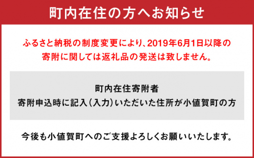 長崎和牛 和牛 国産 牛肉