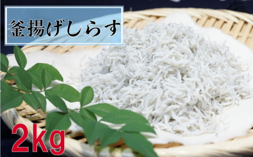 鮮度抜群 海の玄米 子供用 釜揚げ シラス 2kg 冷凍 小分け 個包装 100g × 20パック 大容量 しらす 海の玄米 魚介 海鮮 惣菜 おかず ご飯のお供 晩ごはん 弁当 便利 人気 ふるさと納税 MS026 1431333 - 高知県須崎市