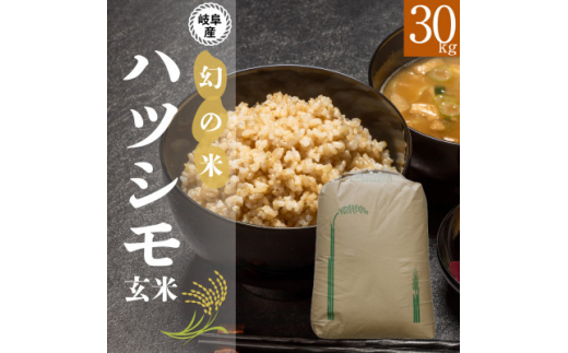 玄米＞新米 岐阜県産ハツシモ 30kg 令和6年産【1530932】 - 岐阜県羽島市｜ふるさとチョイス - ふるさと納税サイト