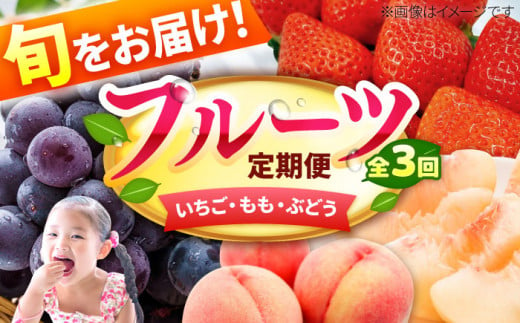 【★先行予約★　2025年2月発送開始】【3回定期便】3回コース いちご もも ぶどう 巨峰 ピオーネ イチゴ 桃 ブドウ くだもの フルーツ 広川町 / JAふくおか八女農産物直売所どろや [AFAB010] 1251200 - 福岡県広川町