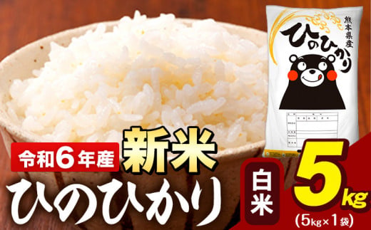 新米 令和6年産 早期先行予約受付中 白米 米 ひのひかり 5kg《11月-12月頃出荷予定》熊本県 大津町 国産 熊本県産 白米 精米 送料無料 ヒノヒカリ こめ お米 1395578 - 熊本県大津町