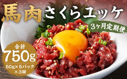 [3ヶ月 定期便]馬肉 さくらユッケ 250g(50g × 5)合計 750g 熊本 桜ユッケ ユッケ 馬 馬ユッケ くまもと 小分け 赤身 国産