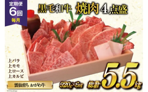 定期便 6回 牛肉 雲仙育ち おがわ牛 焼肉4点盛 総計約5.5kg(920g×6回) 黒毛和牛 上バラ 上モモ 上ロース 上カルビ 冷凍 [焼肉おがわ 長崎県 雲仙市 item2123]