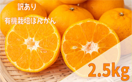 【早期予約 2025年2月上旬より順次発送】 訳あり ぽんかん 2.5kg サイズ混合 オーガニック 無農薬 防腐剤 不使用 有機 JAS認定 柑橘 みかん 蜜柑 家庭用 TJ0011 490084 - 高知県須崎市