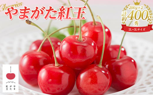 《限定品》 ☆やまがた紅王☆ 2L～3Lサイズ 200g×2パック 秀品 FSY-0615 773151 - 山形県山形県庁