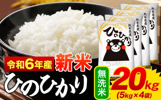 無洗米 ひのひかり 20kg 令和6年産 熊本県産 ふるさと納税 無洗米  精米 ひの 米 こめ ふるさとのうぜい ヒノヒカリ コメ お米 おこめ <11月-12月より出荷予定>