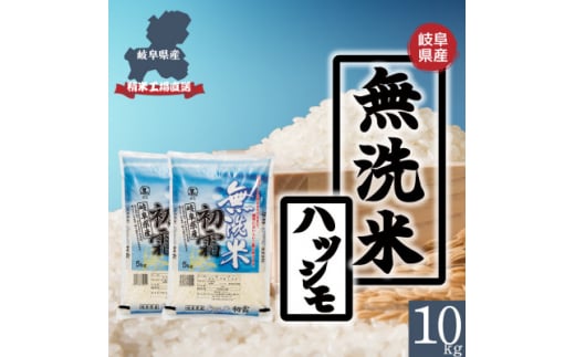 ＜無洗米＞新米　岐阜県産ハツシモ(精米)　10kg 令和6年産【1530968】 1425214 - 岐阜県羽島市