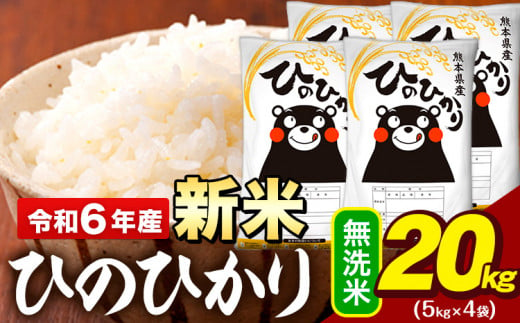 新米 令和6年産 早期先行予約受付中 無洗米 米 ひのひかり 20kg (5kg袋×4)《11月-12月頃出荷予定》熊本県 大津町 国産 熊本県産 無洗米 精米 送料無料 ヒノヒカリ こめ お米 1395587 - 熊本県大津町