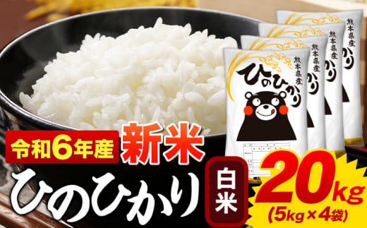 白米 ひのひかり 20kg 令和6年産  熊本県産 ふるさと納税  白米 精米 ひの 米 こめ ふるさとのうぜい ヒノヒカリ コメ お米 おこめ <11月-12月より出荷予定>