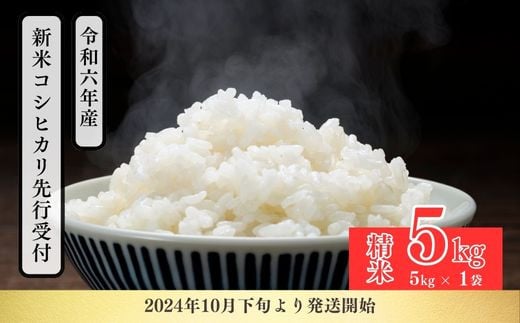 No.2382【令和6年産 新米先行受付】コシヒカリ精米 5kg