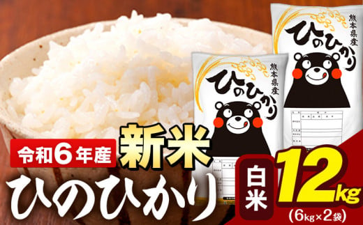 新米 令和6年産 早期先行予約受付中 白米 米 ひのひかり 12kg (6kg袋×2)《11月-12月頃出荷予定》熊本県 大津町 国産 熊本県産 白米 精米 送料無料 ヒノヒカリ こめ お米 1395580 - 熊本県大津町