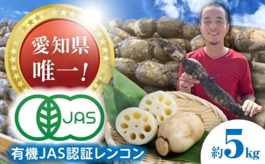 【先行予約】有機JAS認証　土付きレンコン　5kg れんこん 有機栽培　産地直送 野菜　愛西市/株式会社山三レンコン [AEBK004] 1431042 - 愛知県愛西市