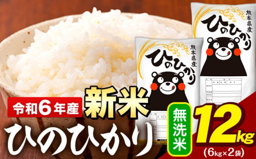 新米 令和6年産 早期先行予約受付中 無洗米 米 ひのひかり 12kg(6kg袋×2)《11月-12月頃出荷予定》熊本県 大津町 国産 熊本県産 無洗米 精米 送料無料 ヒノヒカリ こめ お米 1395581 - 熊本県大津町