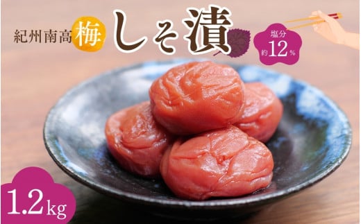 紀州南高梅 しそ漬（塩分約12％）1.2kg（600g×2）  / 紀州南高梅 南高梅 梅干し 梅干 梅 うめ 和歌山 田辺市 肉厚 お米 おにぎり 焼酎 梅酒 健康 しそ梅 産地直送【nkn018-1】 1146564 - 和歌山県田辺市