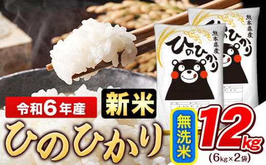 令和6年産新米 早期先行予約受付中 無洗米 ひのひかり 12kg《11月-12月より出荷予定》令和6年産 熊本県産 ふるさと納税 無洗米 精米 ひの 米 こめ ふるさとのうぜい ヒノヒカリ コメ お米 おこめ 1411439 - 熊本県玉東町