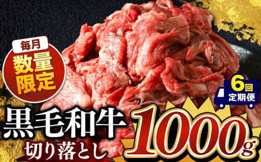 【定期便６回】栃木県産 黒毛和牛 切り落とし 1000g |  黒毛和牛 牛 肉 にく 数量限定 真岡市 栃木県 送料無料 1450505 - 栃木県真岡市