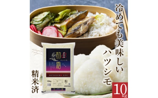 ＜精米済＞新米　岐阜県産ハツシモ　10kg　令和6年産【1530877】 1425213 - 岐阜県羽島市