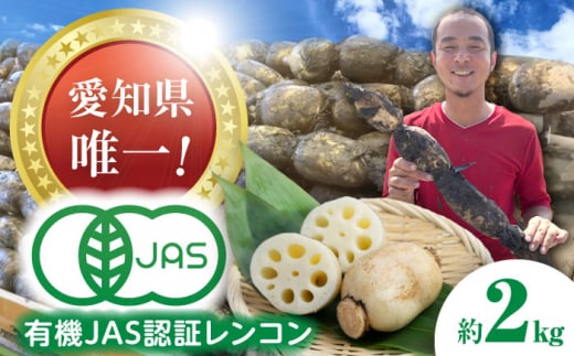 【先行予約】有機JAS認証　土付きレンコン　2kg れんこん 有機栽培　産地直送 野菜　愛西市/株式会社山三レンコン [AEBK003] 1431041 - 愛知県愛西市