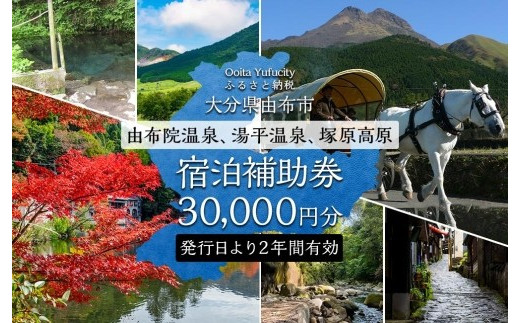 【由布市（湯布院、由布院、湯平、塚原高原）】ふるさと納税宿泊補助券30,000円分【温泉 観光 旅行 ホテル 旅館 クーポン チケット 宿泊券 旅行券 宿泊 トラベルクーポン トラベル ゆふいん 人気 おすすめ 大分県 由布市 AY003】